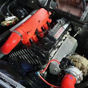 Engine showing red silicone hoses