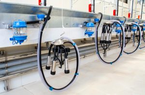 Silicone hoses in the food industry