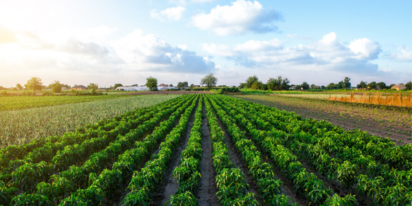 Silicone Hoses Agriculture